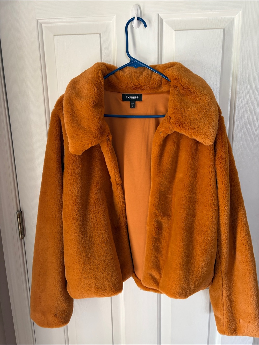 Express Women's Burnt Orange Teddy Faux Fur Jacket